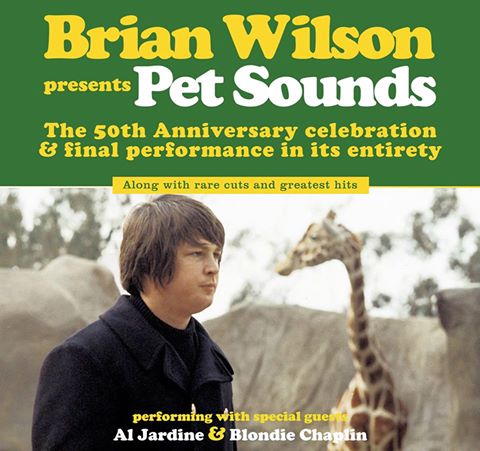 Image result for brian wilson pet sounds
