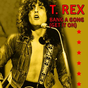 T Rex Bang a Gong sleeve