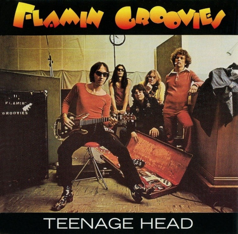 Flamin groovies 2024 super sneakers