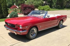 The Classic 1965 Ford Mustang Rocks