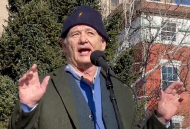 Bill Murray Keeps Popping Up to Sing in NYC: Here’s Why