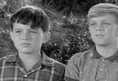 A Chat with ‘Leave It to Beaver’s Stephen Talbot: ‘I May Be a Dirty Rat, But I’m Not a Dumb Rat’