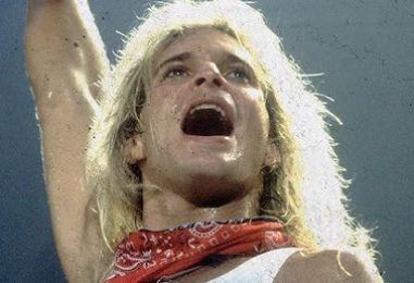 Yes, There Really Is a Book Titled ‘How David Lee Roth Changed the World’