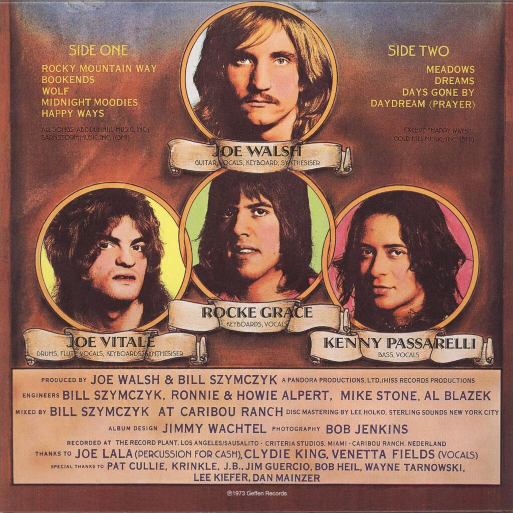 Joe Walsh ‘The Smoker You Drink…’ Album Barnstorming Best Classic Bands