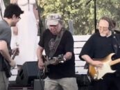 Neil Young, Stephen Stills Play Harvest Moon Benefit Concert