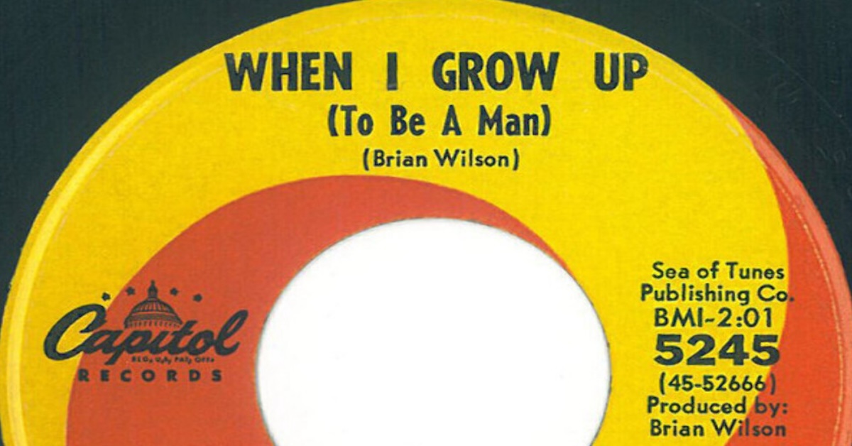 To Be Brian Wilson (ooh, still dig those sounds): A Tribute