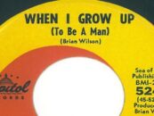 To Be Brian Wilson (ooh, still dig those sounds): A Tribute