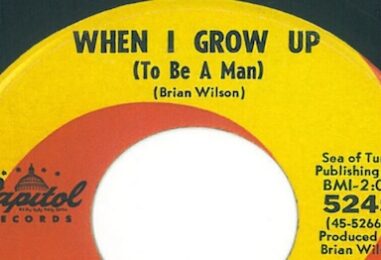 To Be Brian Wilson (ooh, still dig those sounds): A Tribute