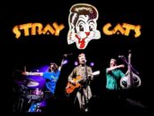 The Stray Cats Announce 2025 Tour